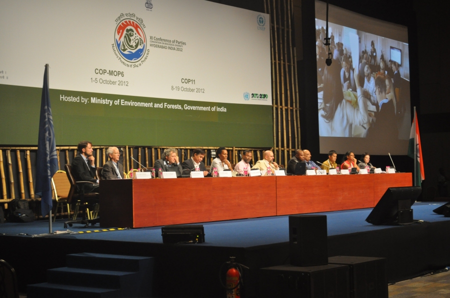 Results presented at the UN Conference of Parties (COP11) meeting in Hyderabad, India